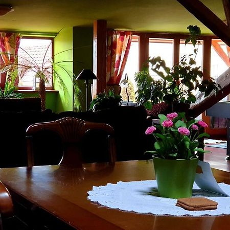 Luxury Oldtown Loft 320M2 On Hlavna Street Apartman Kassa Kültér fotó